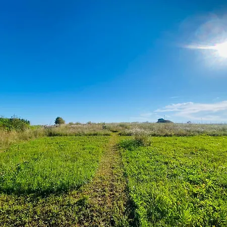 Waldquartier Naschgarten Zelt *