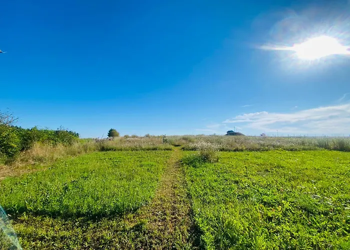 Waldquartier Naschgarten Zelt *