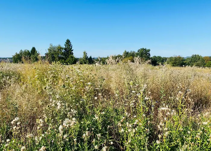 Luxuszelt Waldquartier Naschgarten Zelt